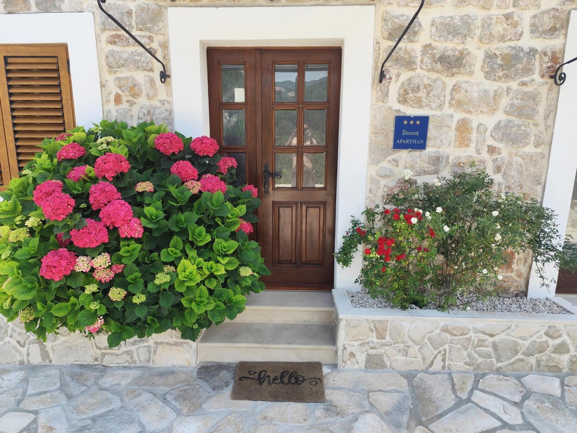 Mistral - Cosy With Sea View * Molunat